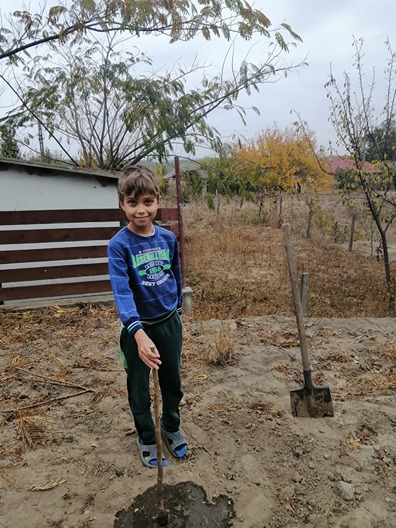 Copilul si pomul sau