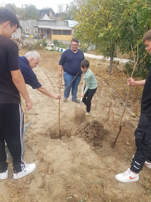Copilul si pomul sau