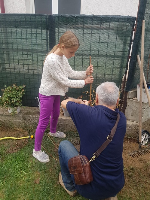 Copilul si pomul sau