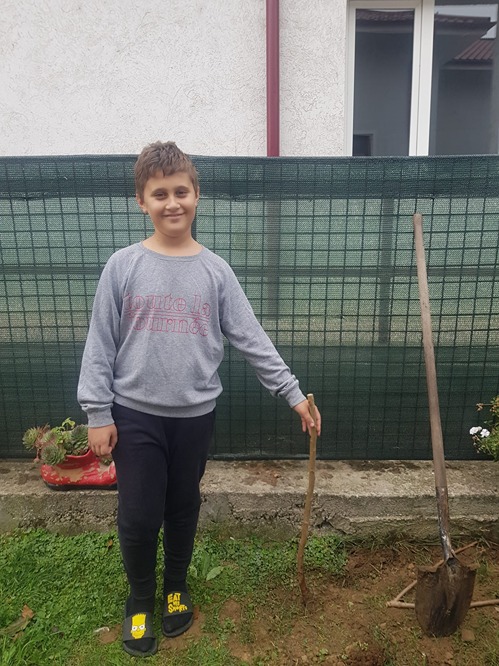 Copilul si pomul sau