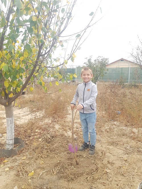 Copilul si pomul sau