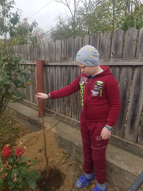 Copilul si pomul sau